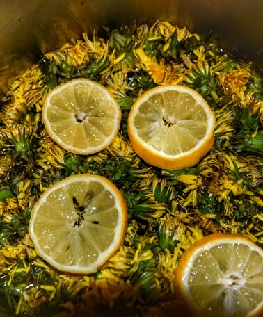 Zutaten Löwenzahnhonig | © Marlene Eggmayr