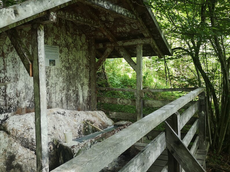 © Tanja Kerschbaumer