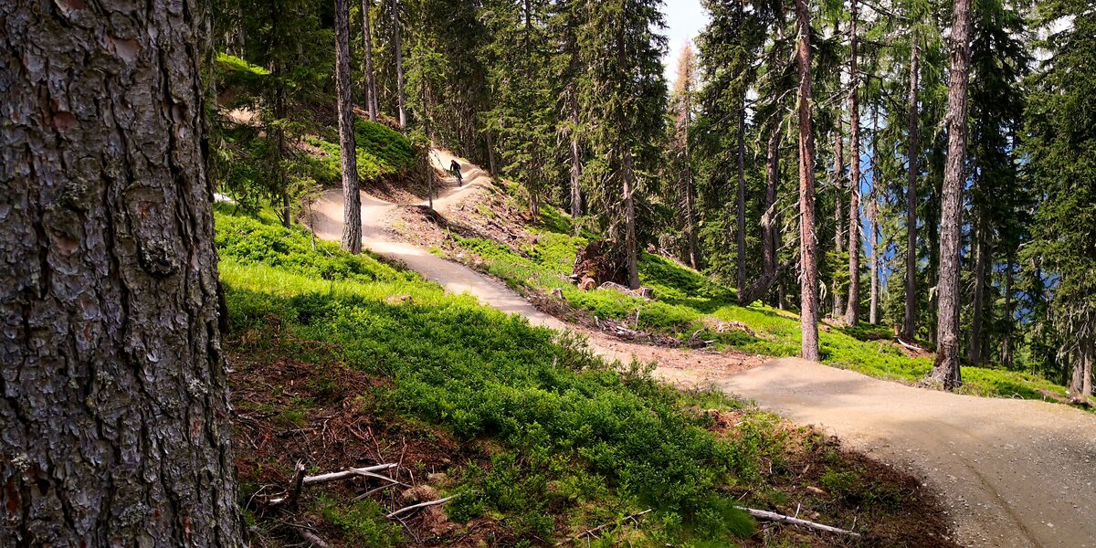 Bikepark Schladming