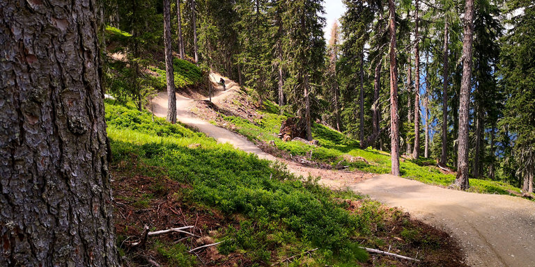 Streckenabschnitt Bikepark Schladming