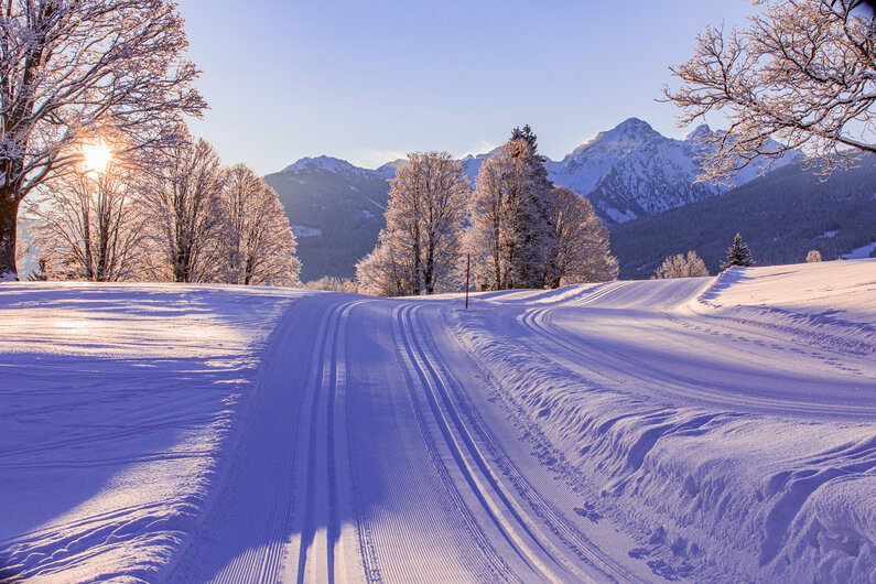 © René Eduard Perhab