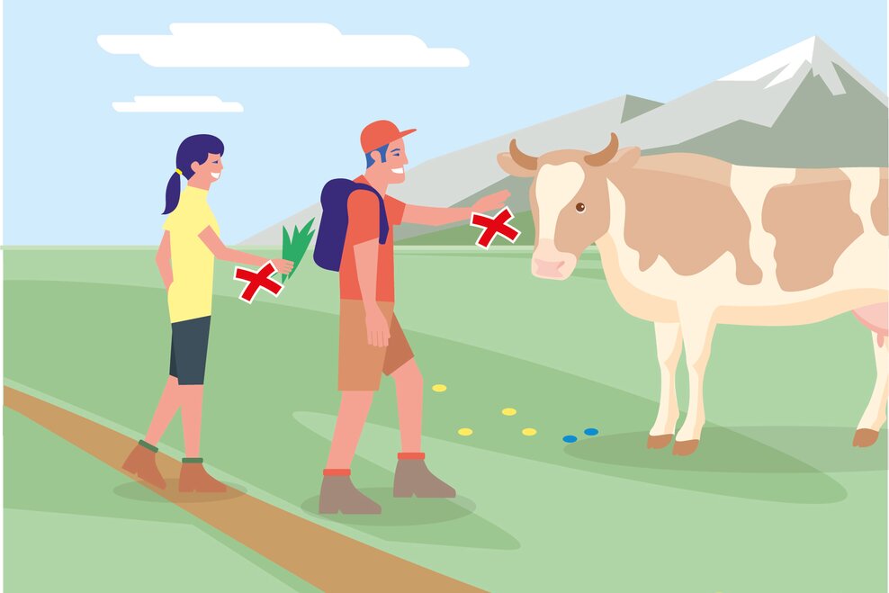 Kontakt zum Weidevieh vermeiden, Tiere nicht füttern, sicheren Abstand halten! | © BMLRT/Andreas Rampitsch