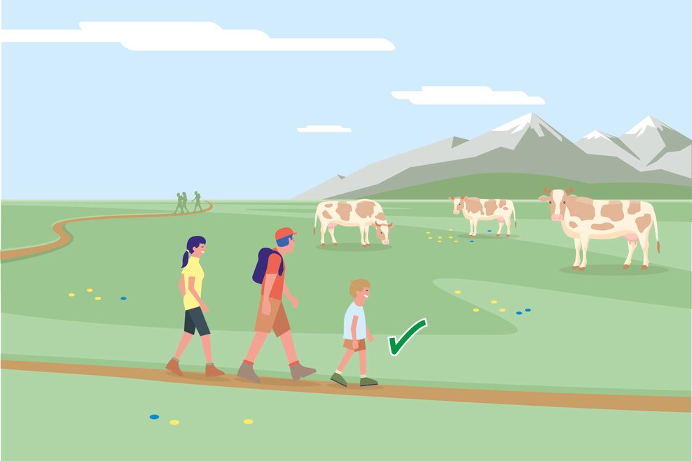 Wanderwege auf Almen und Weiden nicht verlassen! | © BMLRT/Andreas Rampitsch