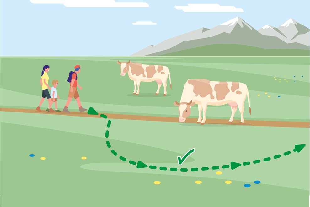 Wenn Weidevieh den Weg versperrt, mit möglichst großem Abstand umgehen! | © BMLRT/Andreas Rampitsch