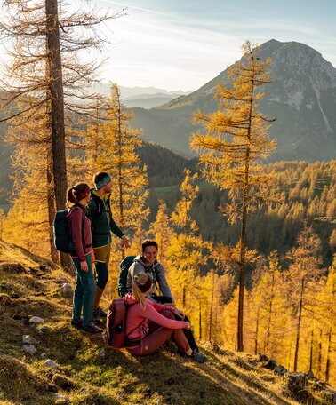 Herbst am Brandriedl | © Christine Höflehner