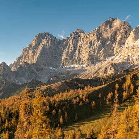 Herbst am Brandriedl | © Christine Höflehner