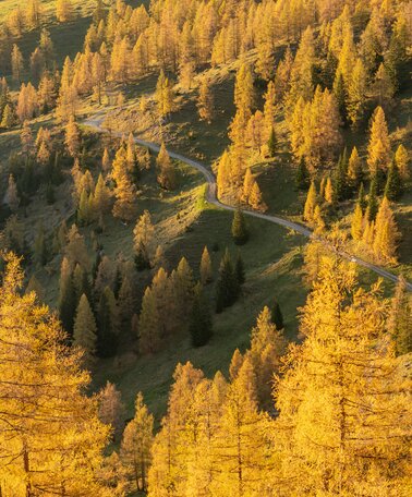Herbst am Brandriedl | © Christine Höflehner