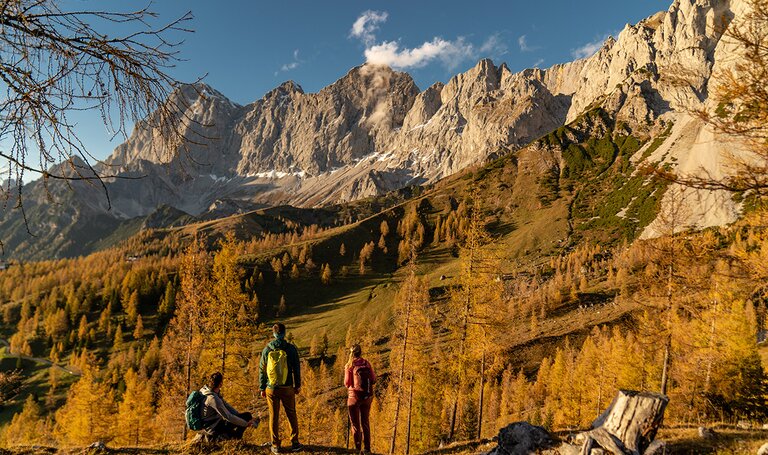 Herbst am Brandriedl  | © Christine Höflehner