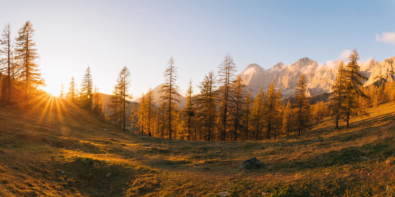 © Carolin Lang / CaLa.at