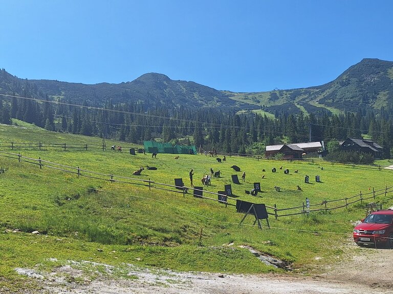 Überblick zu den Stationen  | © Daniel Kamerberger 