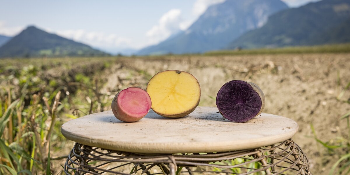 © ©Wild & Team Fotoagentur GmbH