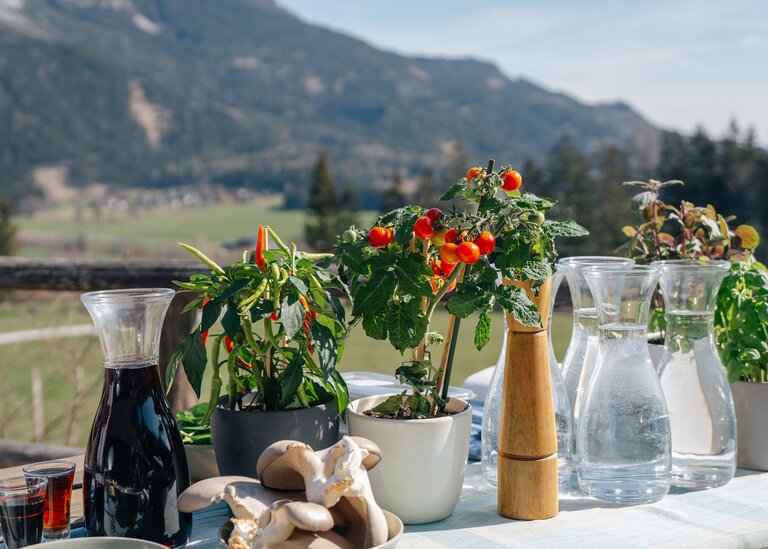 © Juraj Melicher/ ORF