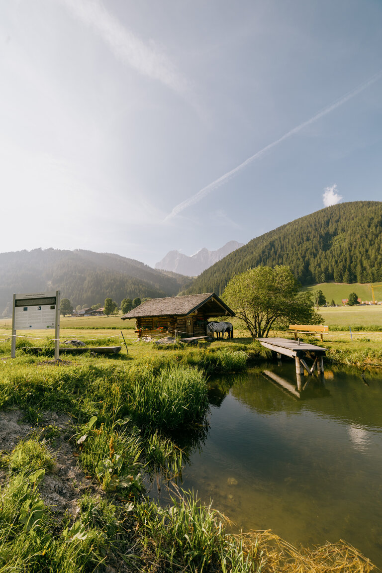 Sternenhimmel in der Ramsau | © Gerald Grünwald 