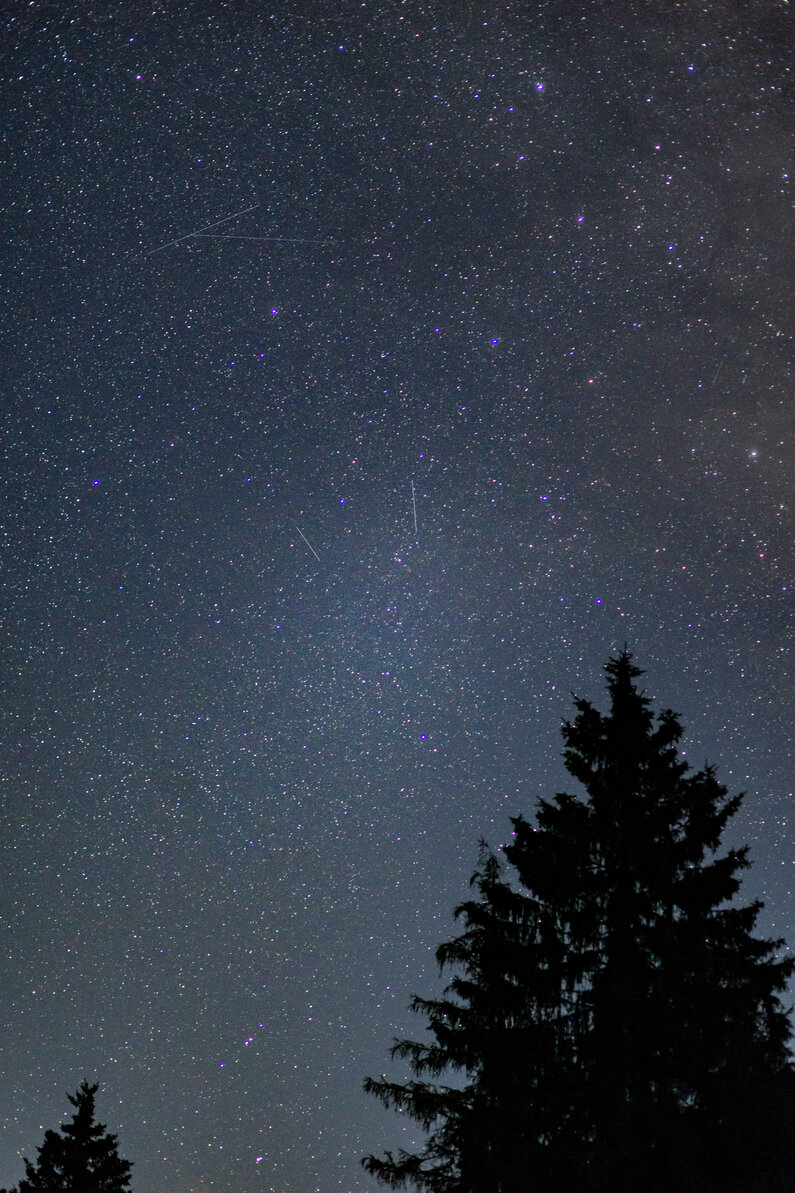 Sternenhimmel in der Ramsau | © Gerald Grünwald 