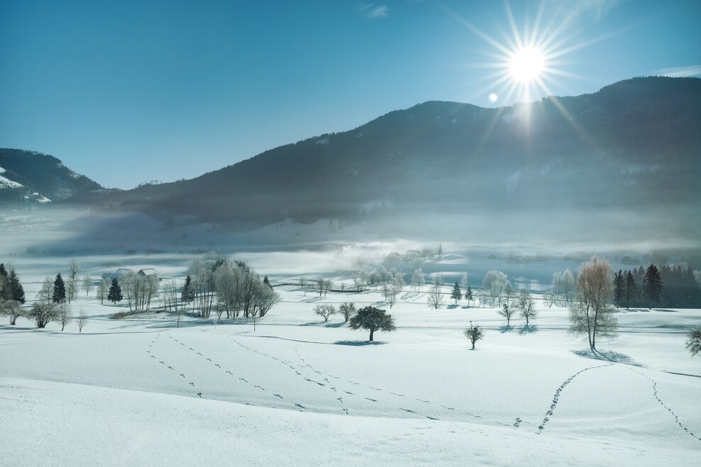 © Richard Schabetsberger