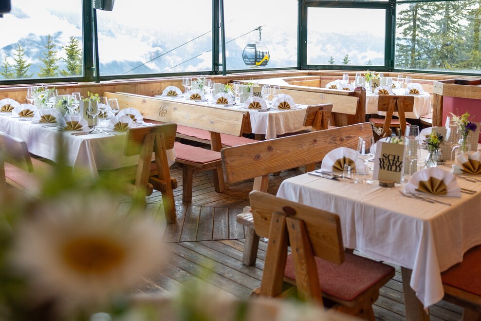 © Harald Steiner Fotografie 