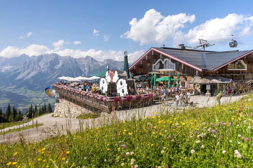 © Harald Steiner Fotografie