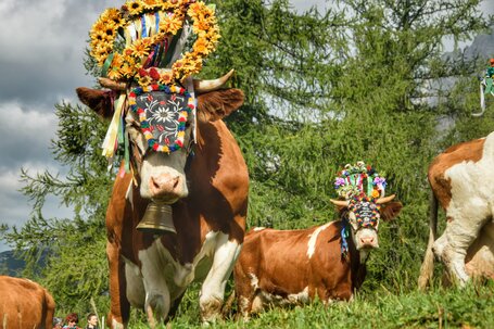 © TVB Schladming-Dachstein | Marlene Eggmayr