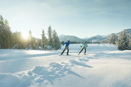 Cross-country ski track in the sun | © Peter Burgstaller