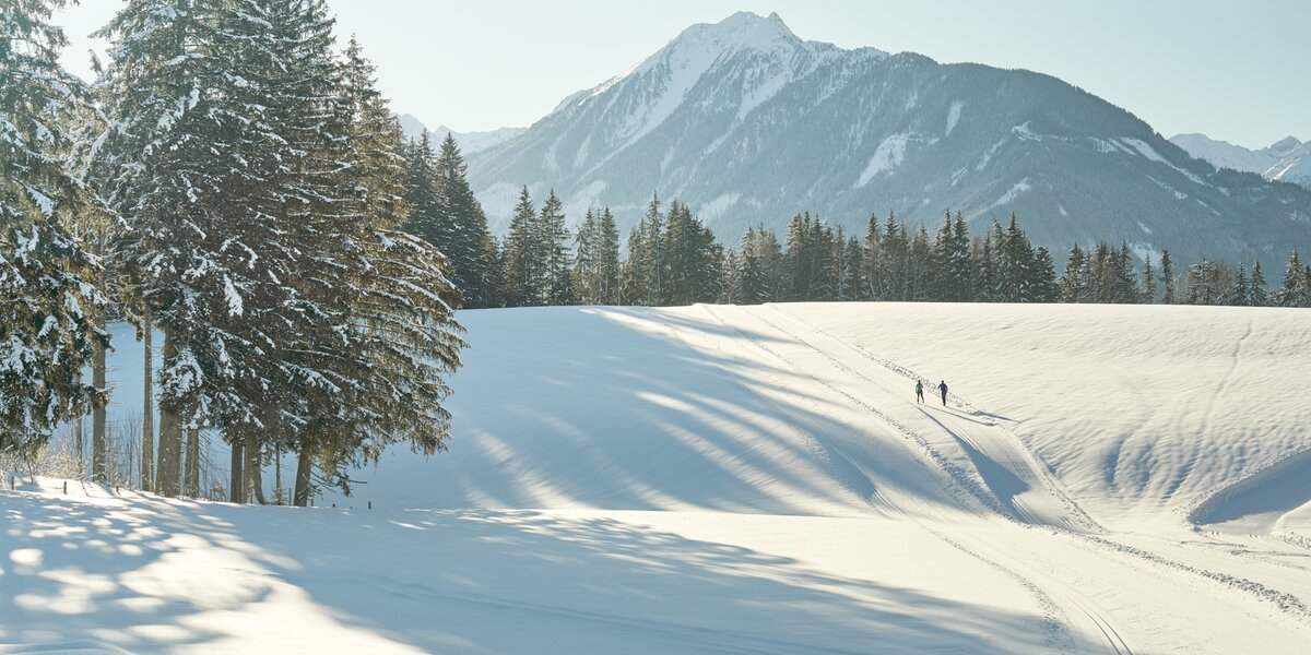 Langlaufen in Ramsau am Dachstein | © Peter Burgstaller