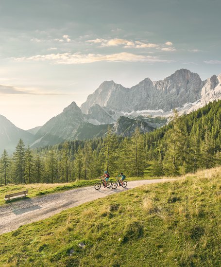 © Peter Burgstaller