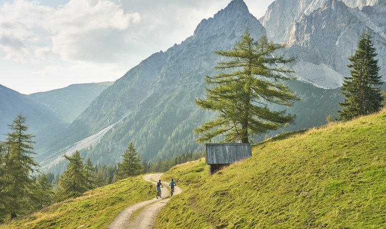 Mountain biker surrounded by a stunning mountain scenery | © Peter Burgstaller