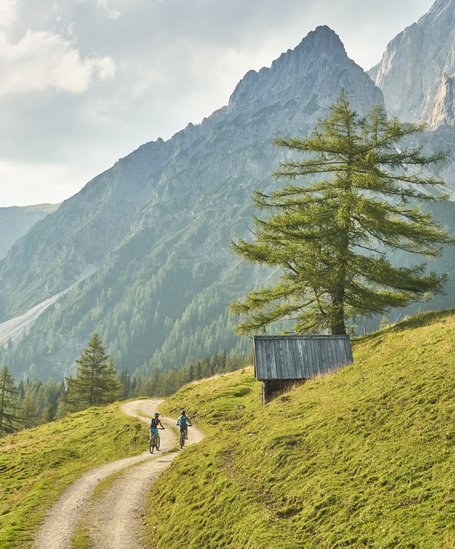 Mountain biker surrounded by a stunning mountain scenery | © Peter Burgstaller