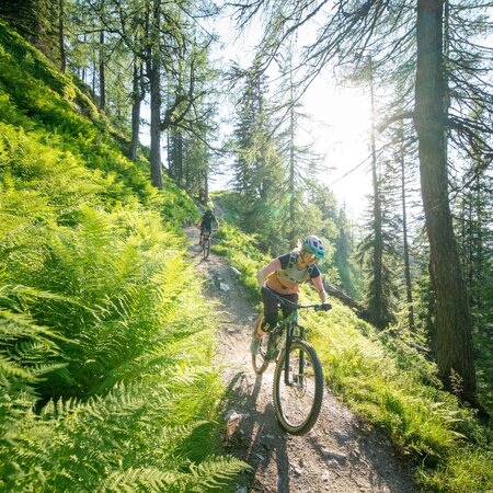 Reiteralm Trails | © Christoph Oberschneider