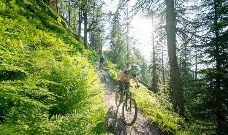 Reiteralm Trails | © Christoph Oberschneider