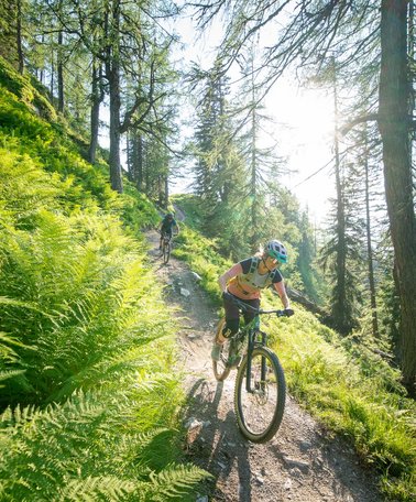 Reiteralm Trails | © Christoph Oberschneider