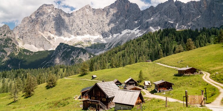 © Christine Höflehner