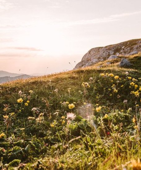 Hiking paradise Schladming-Dachstein | © thetravelblog.at_by_ladyvenom