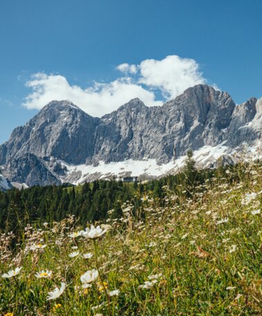 View of the Dachstein mountain | © Christine Höflehner
