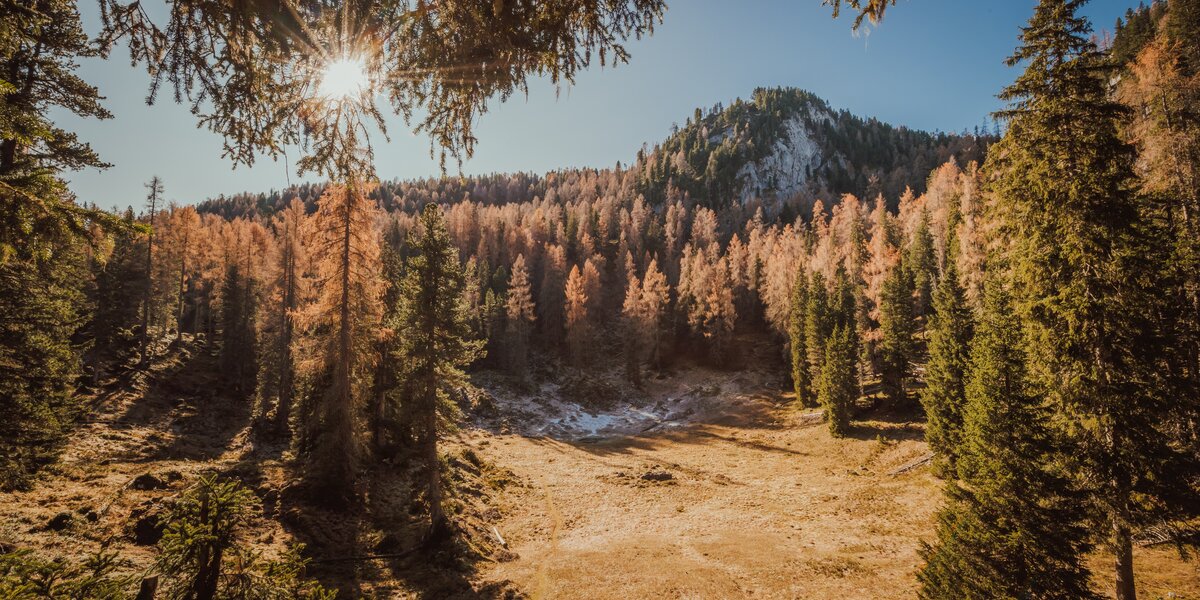 Autumn hike at Notgasse in Gröbming | © Christoph Huber