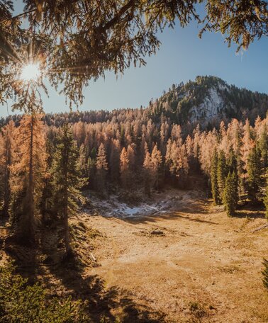 Herbstwanderung Notgasse, Gröbming | © Christoph Huber