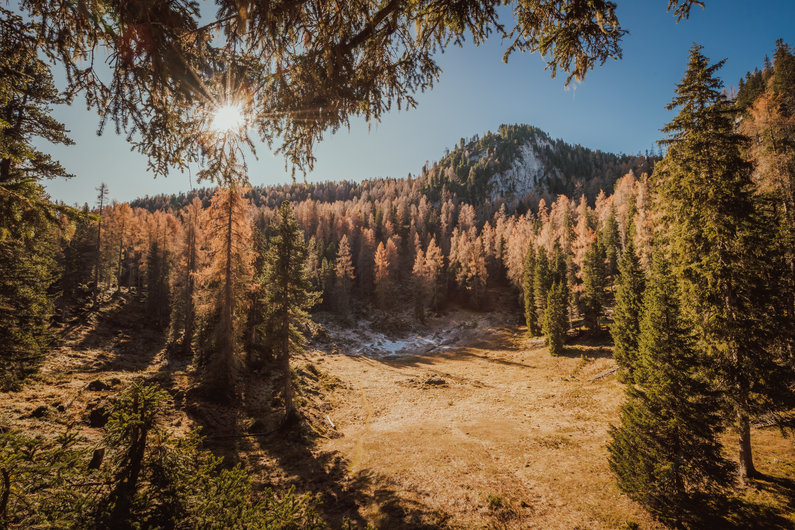 Autumn hike at Notgasse in Gröbming | © Christoph Huber