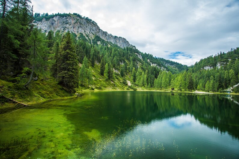 Ein stiller See in leuchtendem Grün liegt eingebettet zwischen bewaldeten Hängen und steilen Felswänden unter einem leicht bewölkten Himmel. | © Rene Eduard Perhab