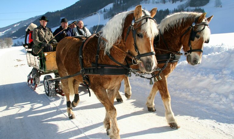 Horse sleigh ride in Schladming | © Herbert Raffalt