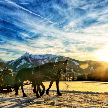 Pferdeschlittenfahrt Ramsau am Dachstein | © Minzlhof