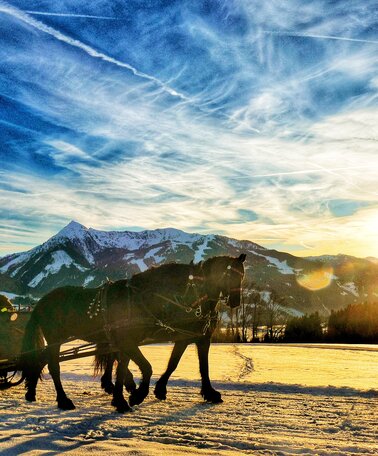 Pferdeschlittenfahrt Ramsau am Dachstein | © Minzlhof
