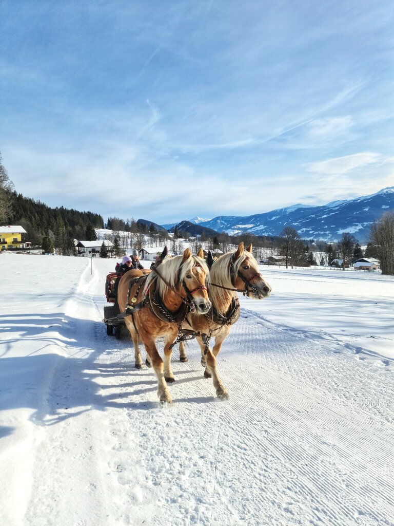Pferdeschlittenfahrt Ramsau am Dachstein | © Minzlhof