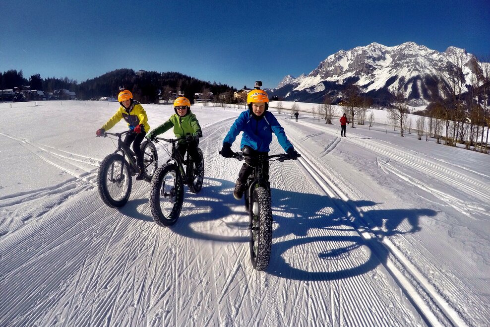© alpinefatbike.com