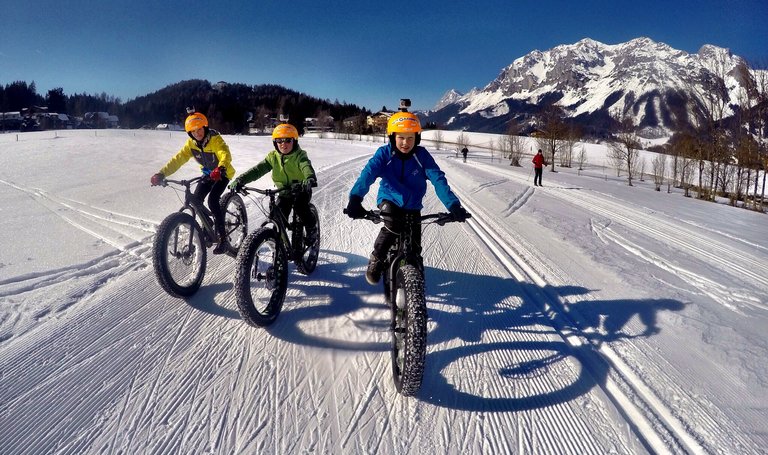 © alpinefatbike.com
