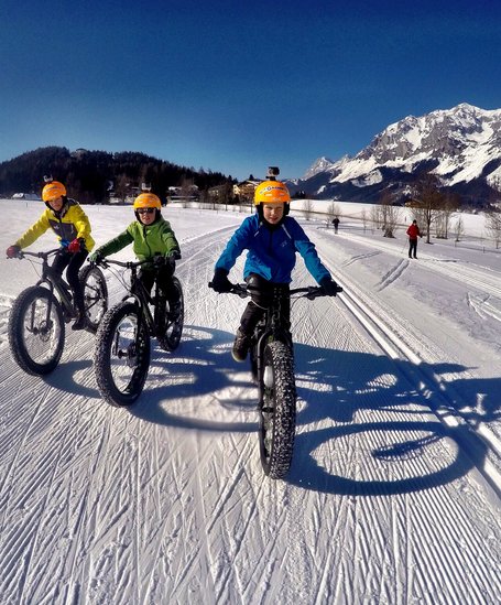 © alpinefatbike.com