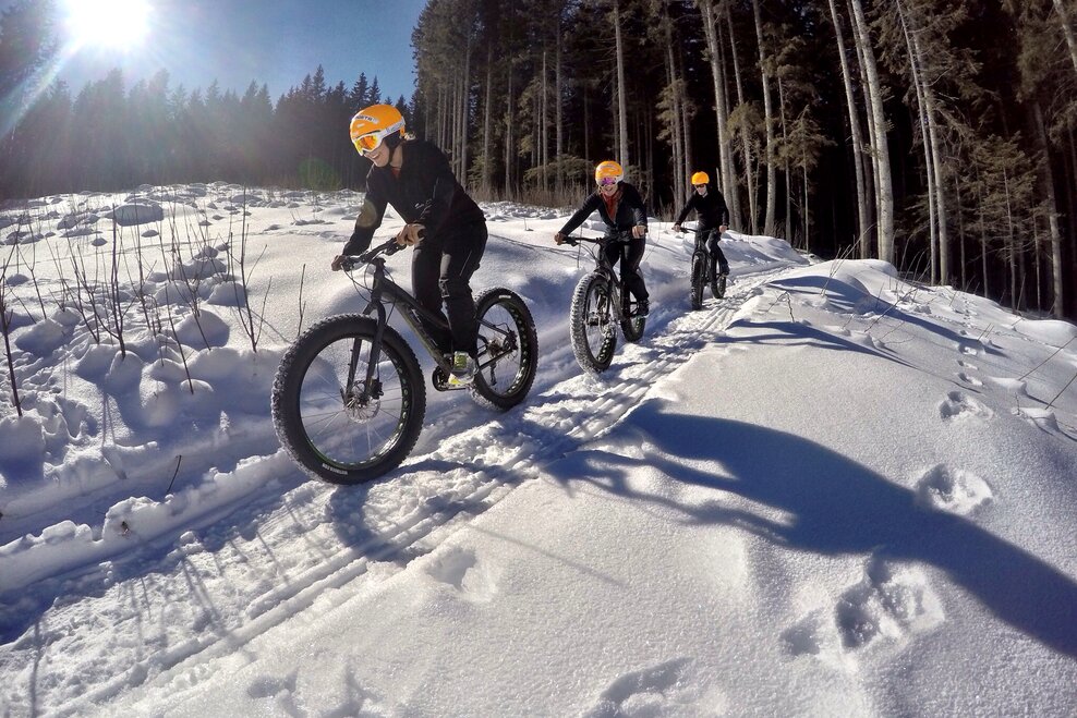 © alpinefatbike.com