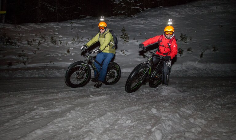 © (c) alpinefatbike.com
