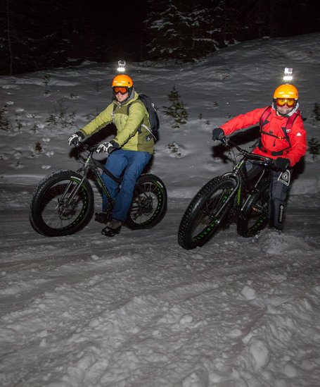 © (c) alpinefatbike.com