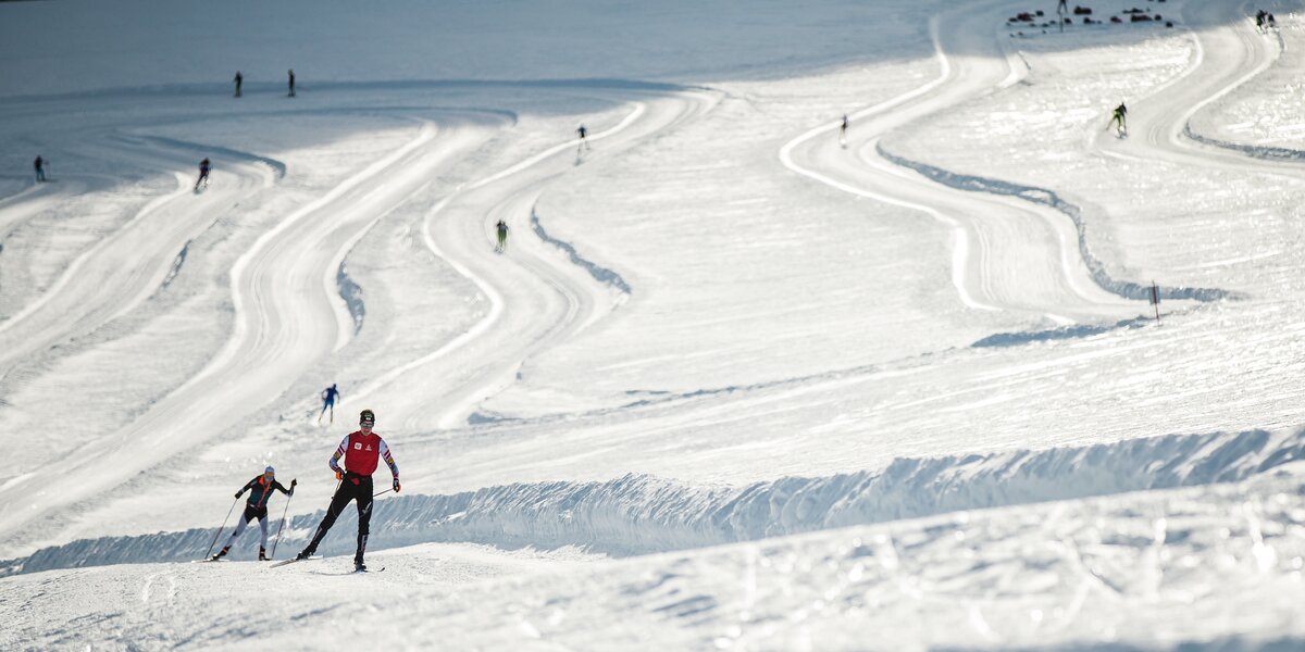 Langlaufen in der Region Schladming-Dachstein | © Dominik Steiner