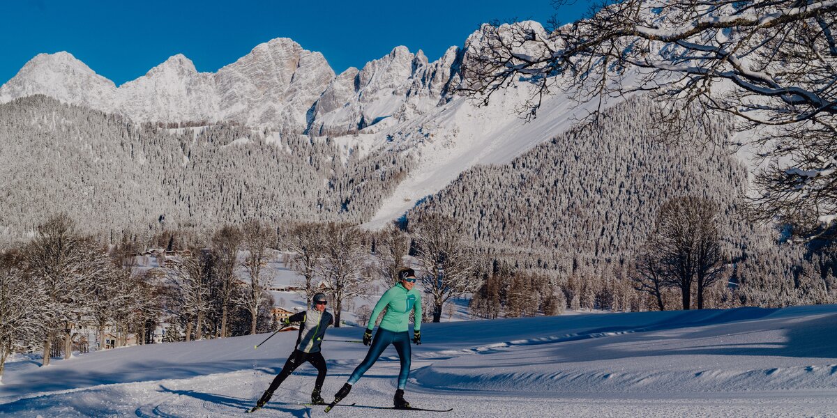 © Christine Höflehner