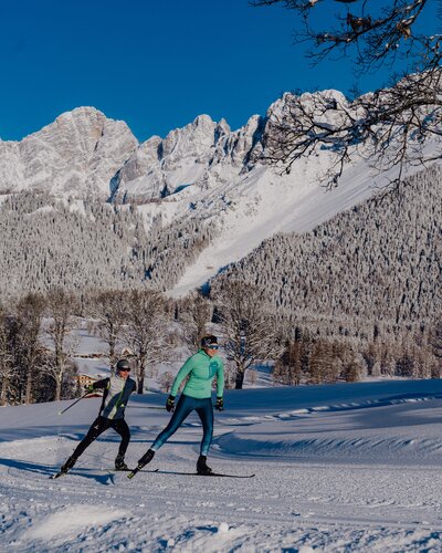 © Christine Höflehner